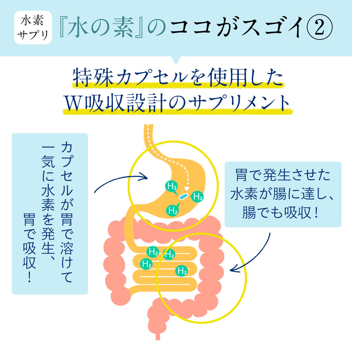 【日本機能性医学研究所】水の素(みずのもと)水素サプリメント